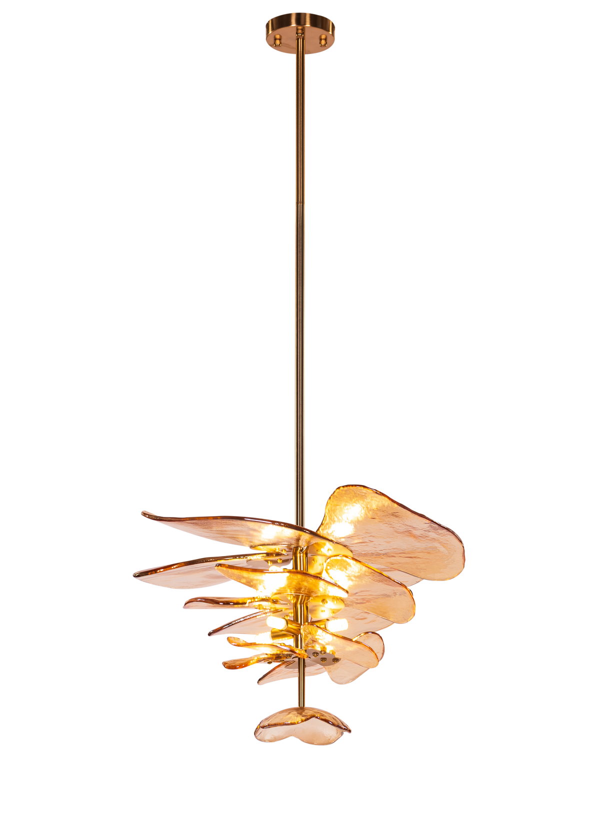 Luminous Lotus (Gold, Amber) Tinted Glass Pendant Light