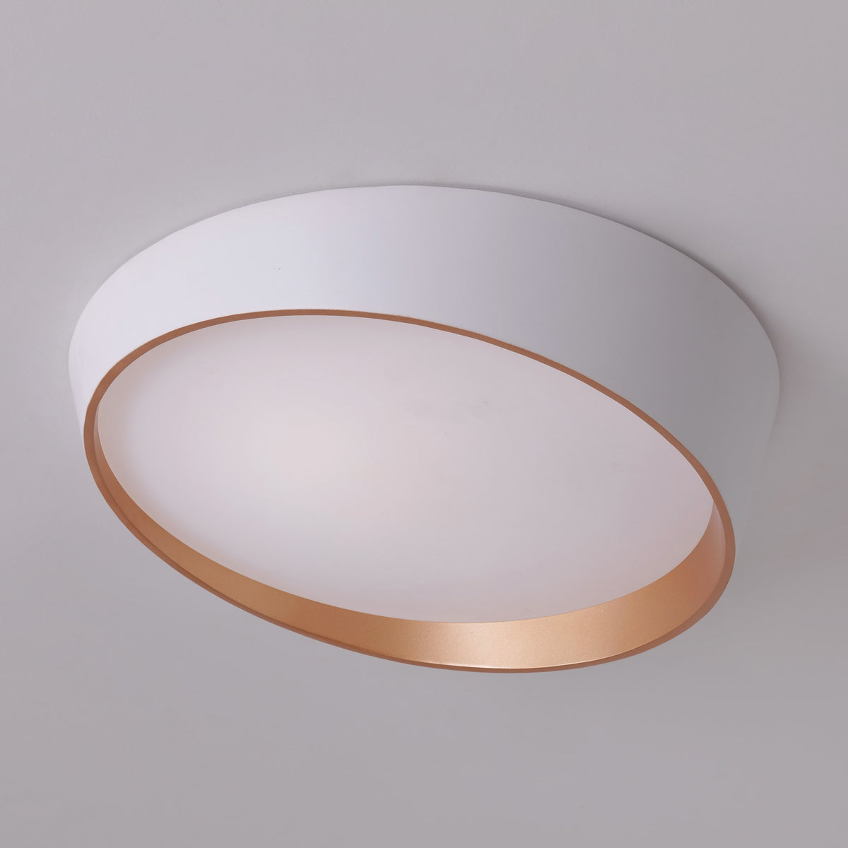 Hidden Ace (White,Large) Ceiling Light