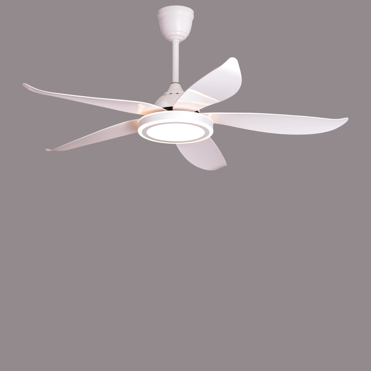 Oxford Street (140 cm Span, White Finish Metal Body, Glossy White ABS Blades) 3 Color Dimmable LED With Remote Control Ceiling Fan