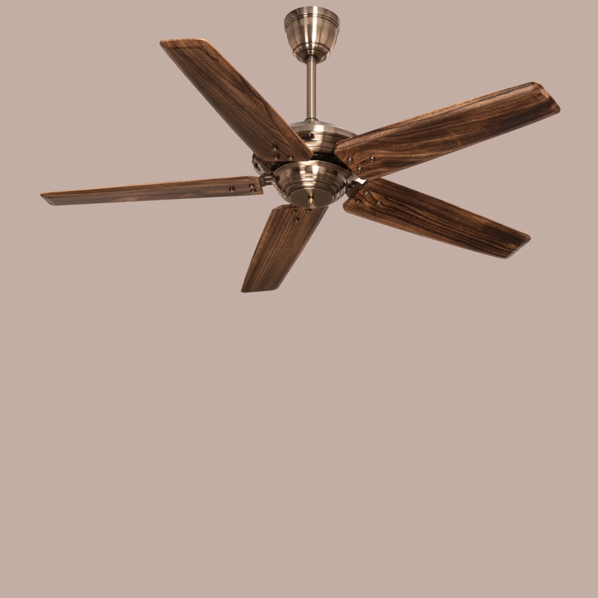 Alameda (137 cm Span, Chrome Finish Metal Body, Walnut Finish Solid Wood Blades) Ceiling Fan