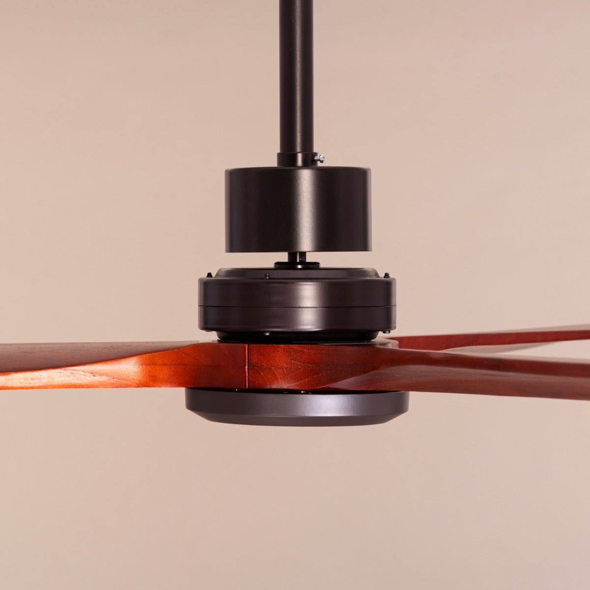 Glen Meadow (132 cm Span, Black Metal Body, Mahogany Finish Solid Wood Blades) Ceiling Fan