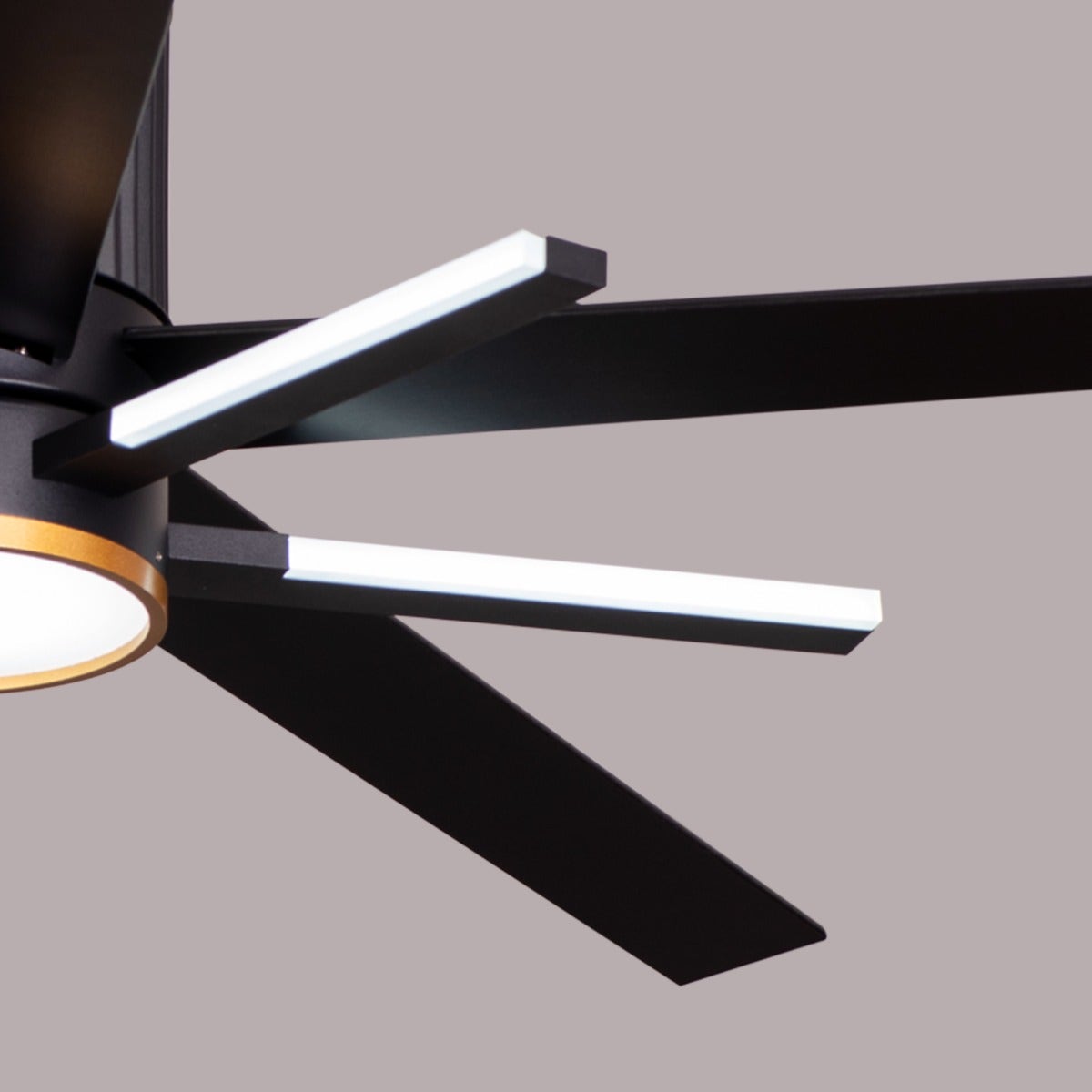 Serengeti (142 cm Span, Black & Gold Finish Metal Body, Black Finish Solid Wood Blades) Dimmable LED With Remote Control Ceiling Fan