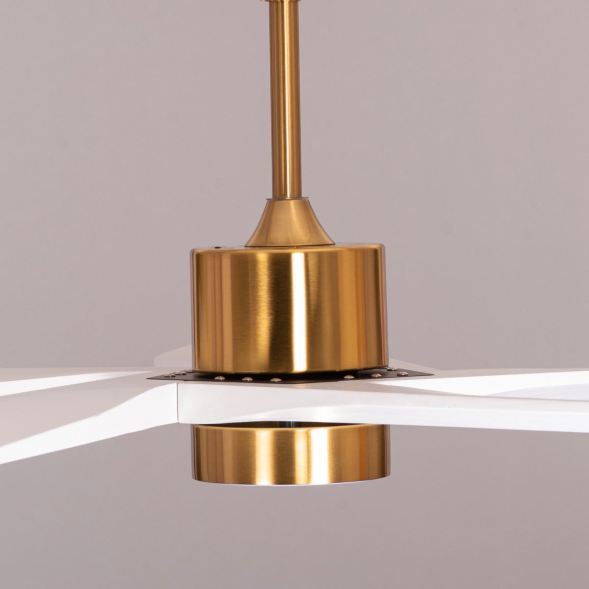 Bangkok Social (140 cm Span, Gold Finish Metal Body, White Finish Wooden Blades) Dimmable LED With Remote Control Ceiling Fan