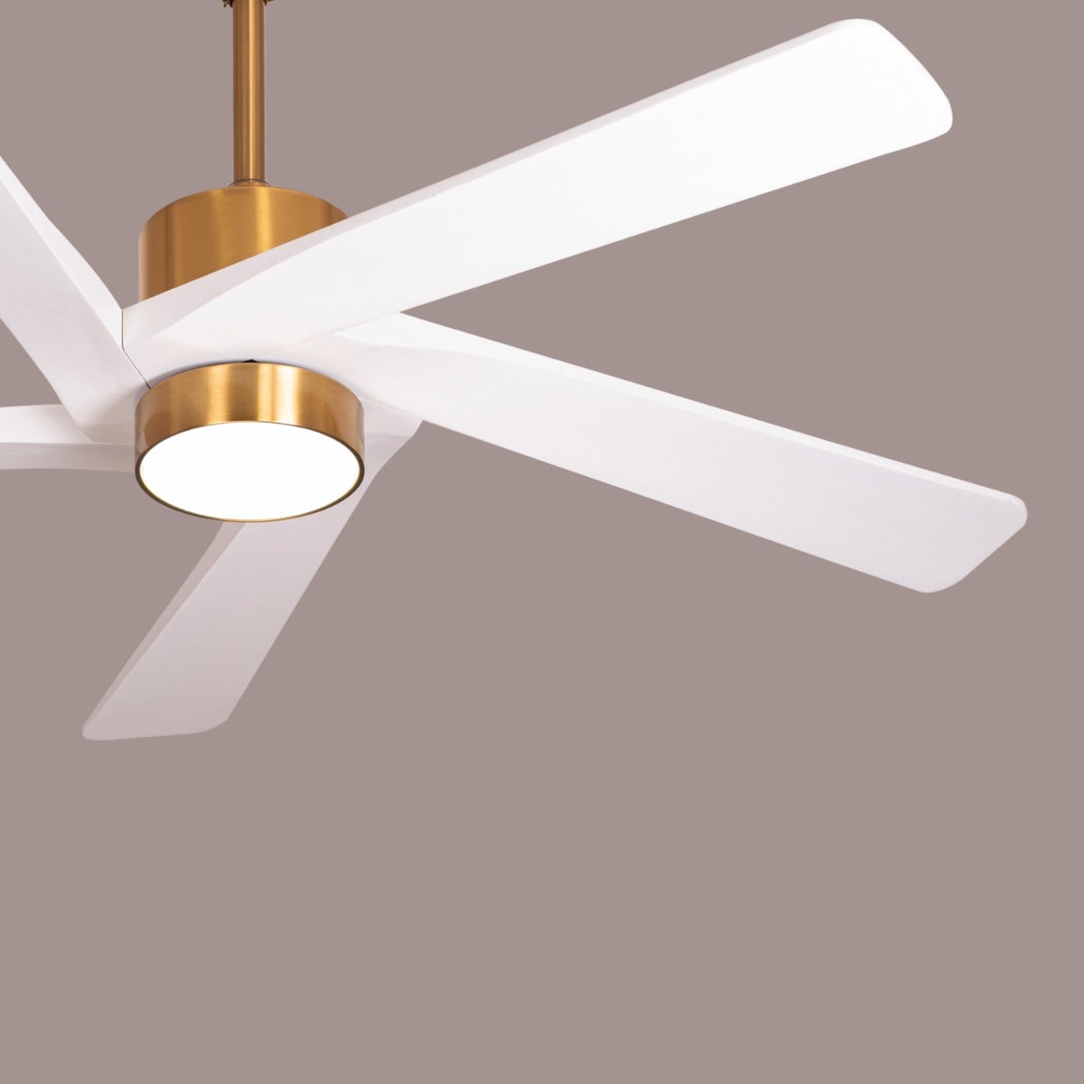 Bangkok Social (140 cm Span, Gold Finish Metal Body, White Finish Wooden Blades) Dimmable LED With Remote Control Ceiling Fan