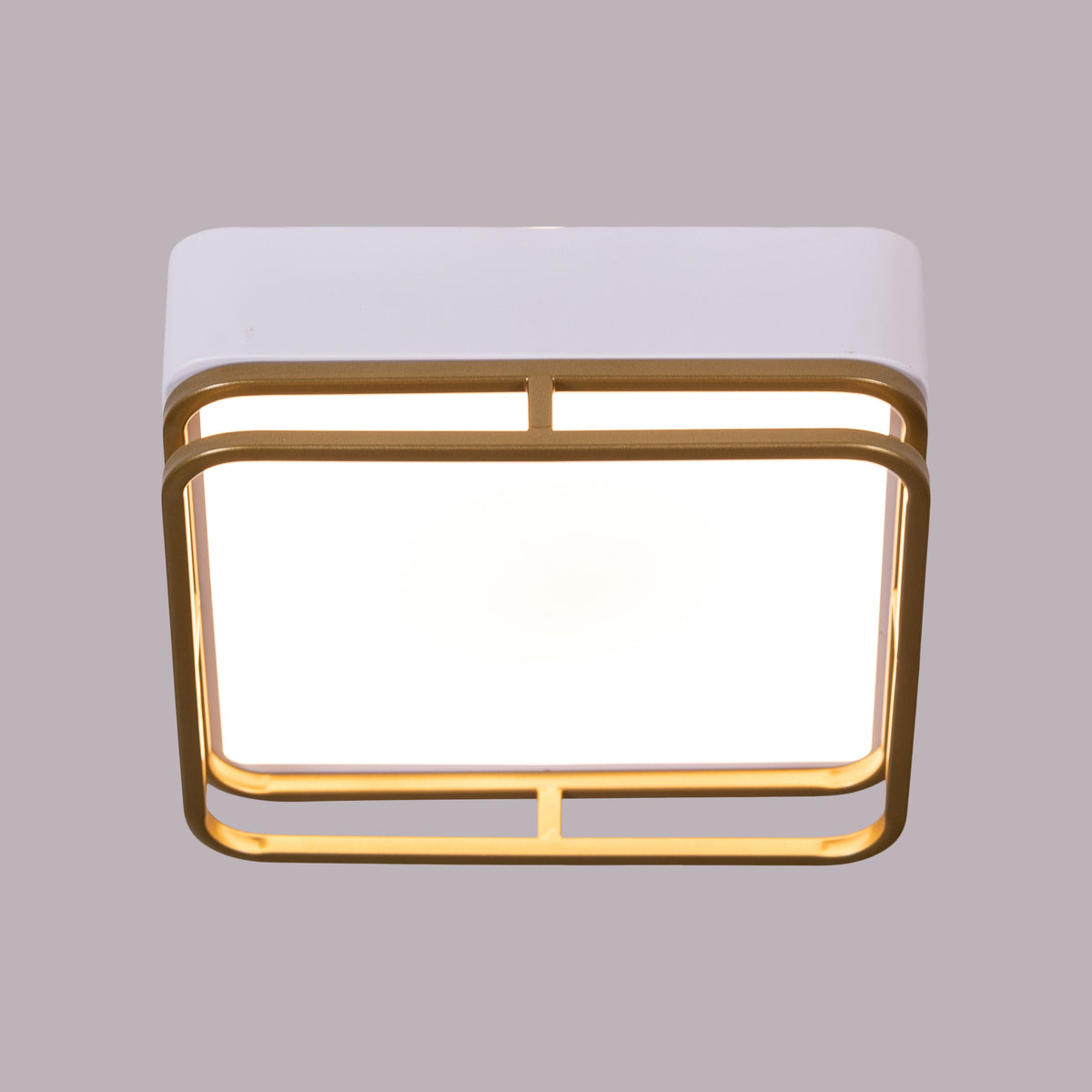 Want You Around (White, 3 Color Built-In LED) Ceiling Light