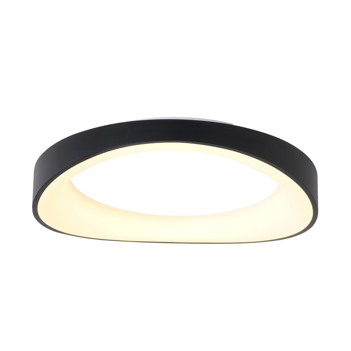 With Out A Doubt (Black) Ceiling Light