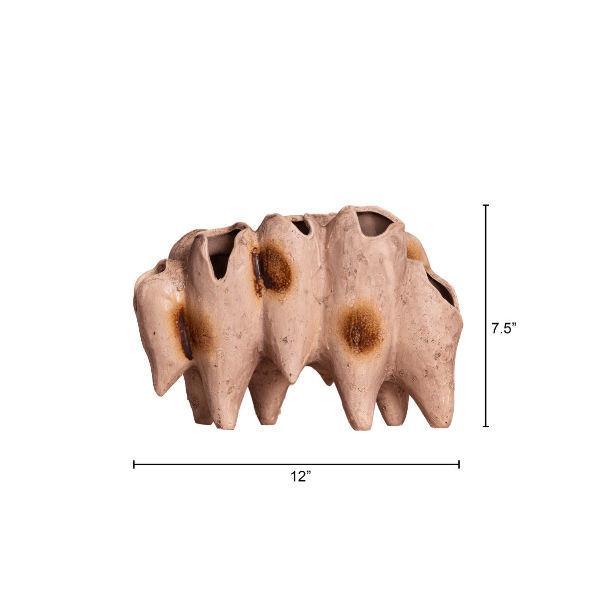 Lost World (Brown) Home Decor