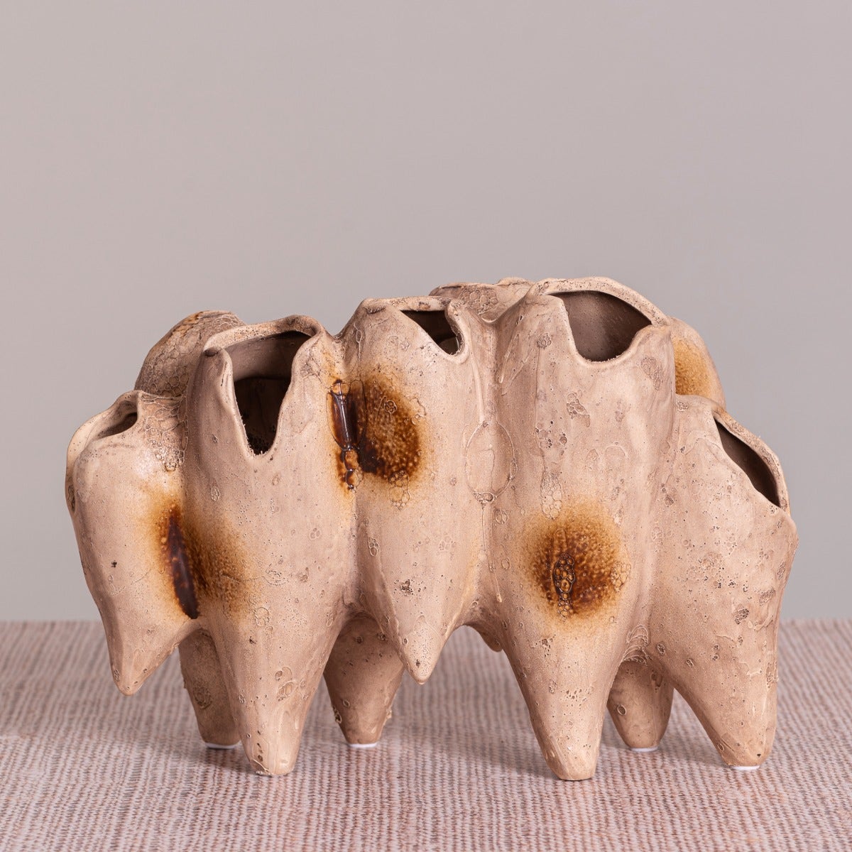 Lost World (Brown) Home Decor