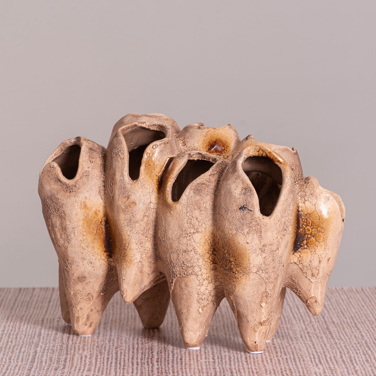 Lost World (Brown) Home Decor