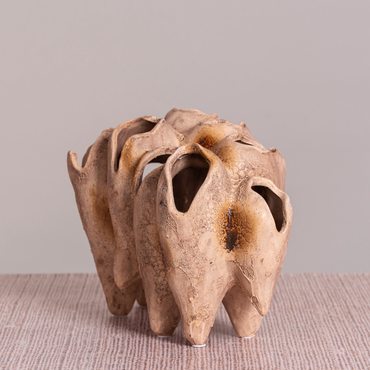 Lost World (Brown) Home Decor