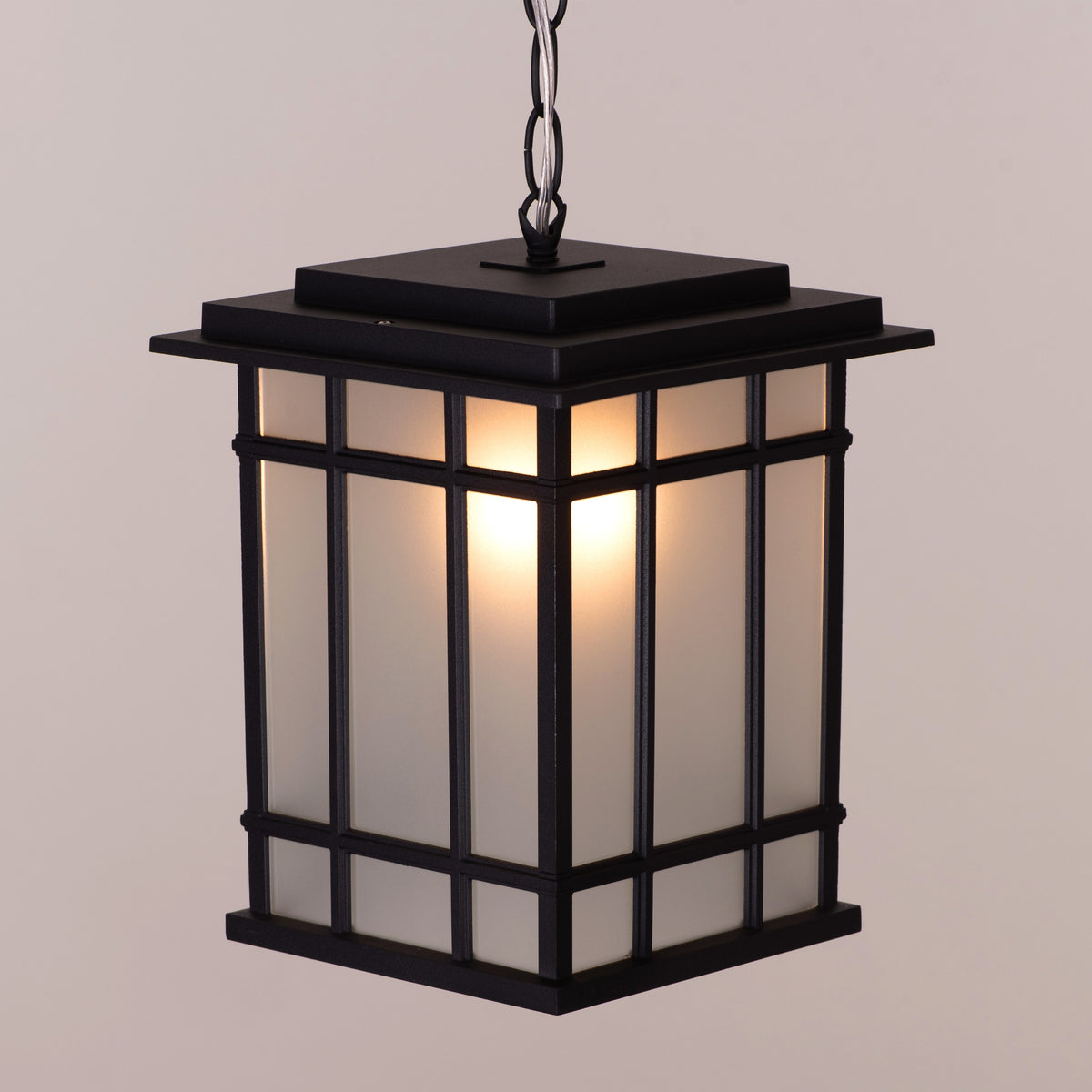 Looking Away (Black) Outdoor Pendant Light