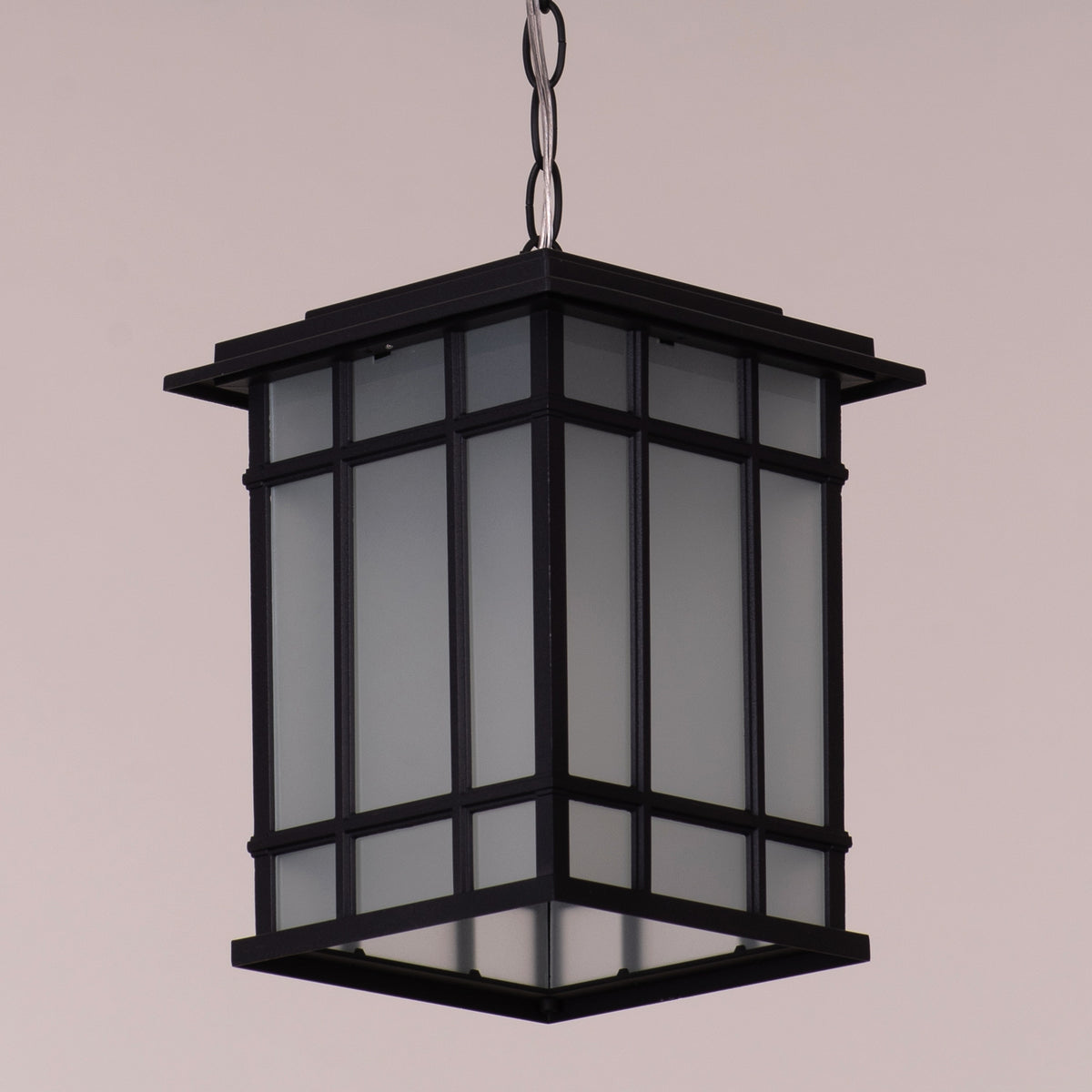 Looking Away (Black) Outdoor Pendant Light