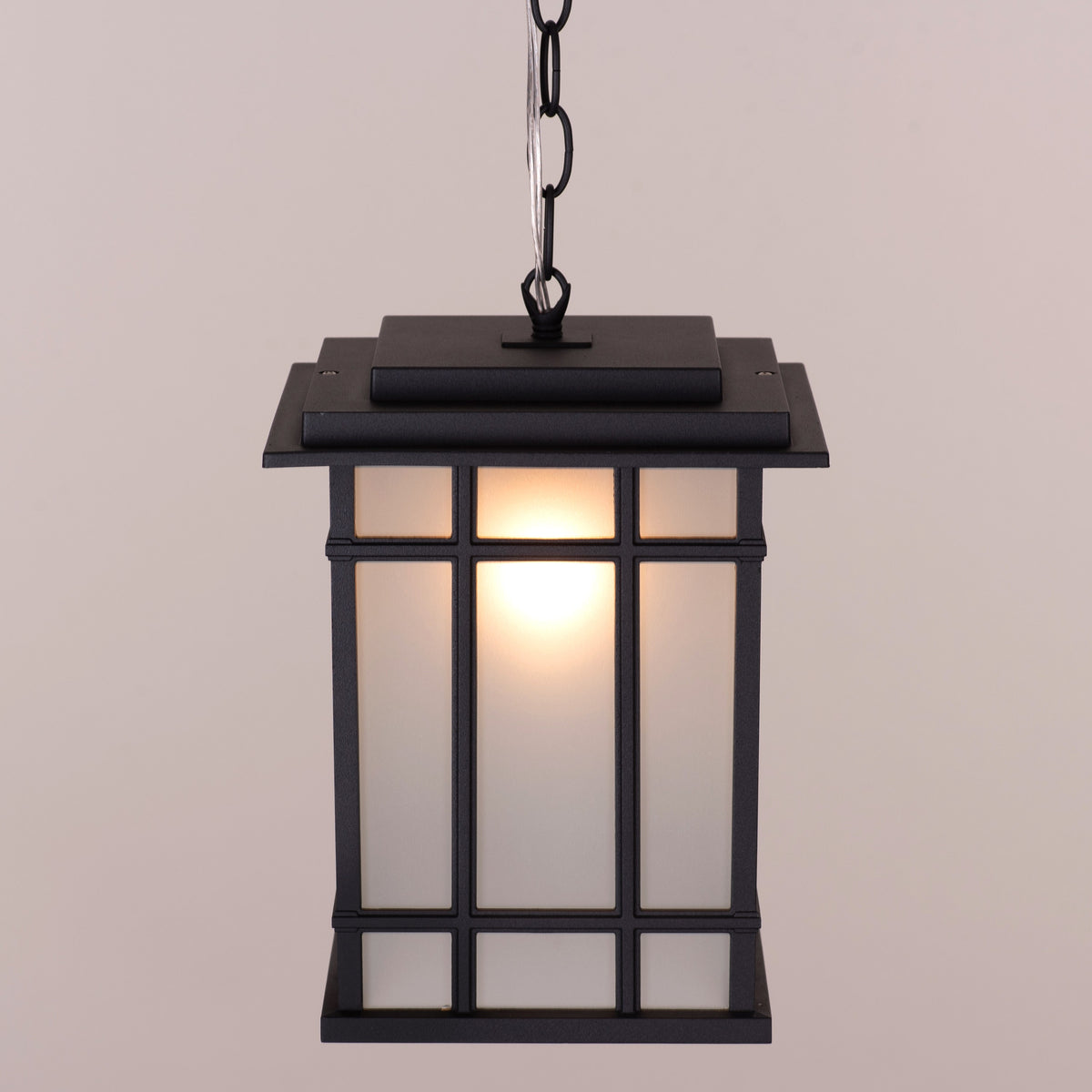 Looking Away (Black) Outdoor Pendant Light
