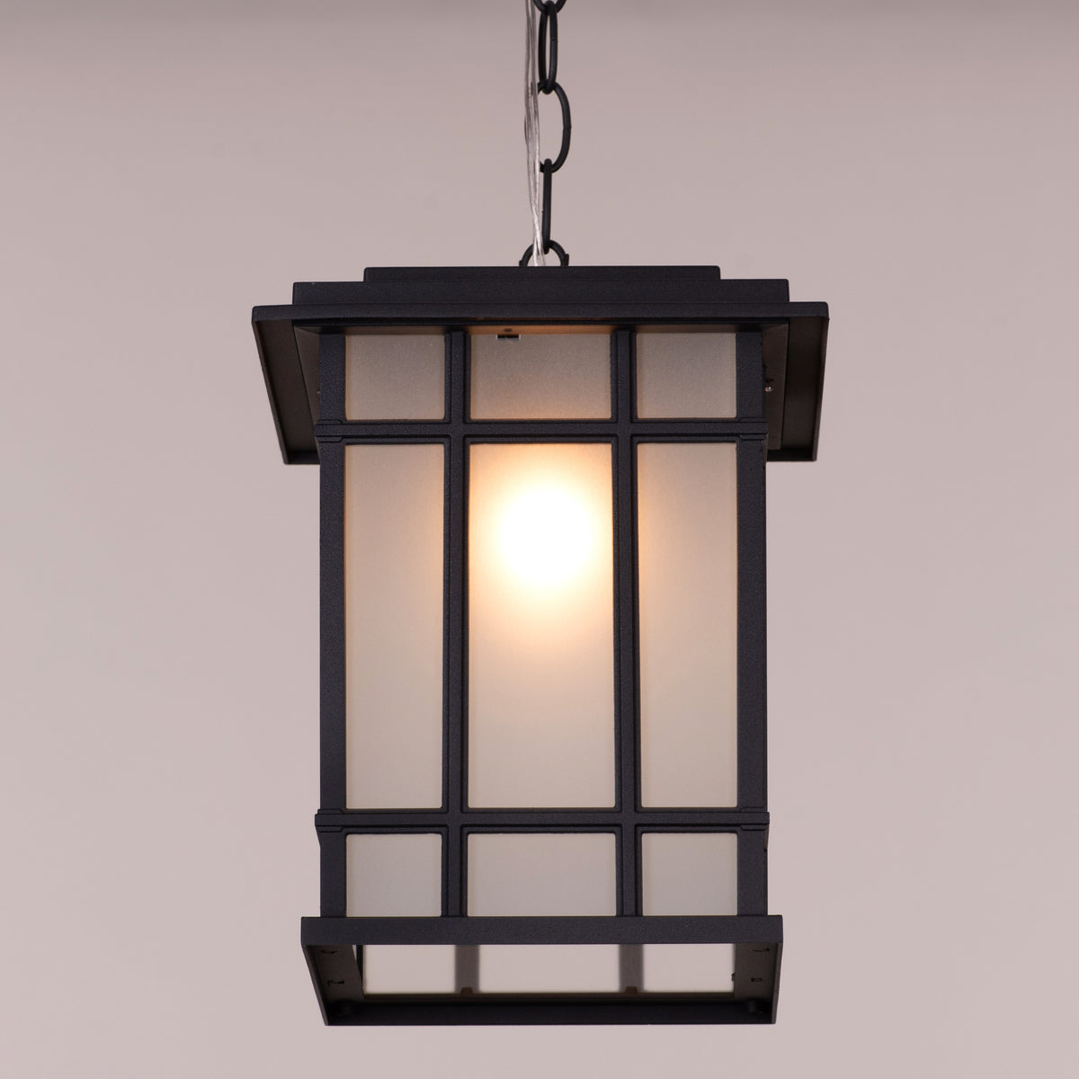 Looking Away (Black) Outdoor Pendant Light