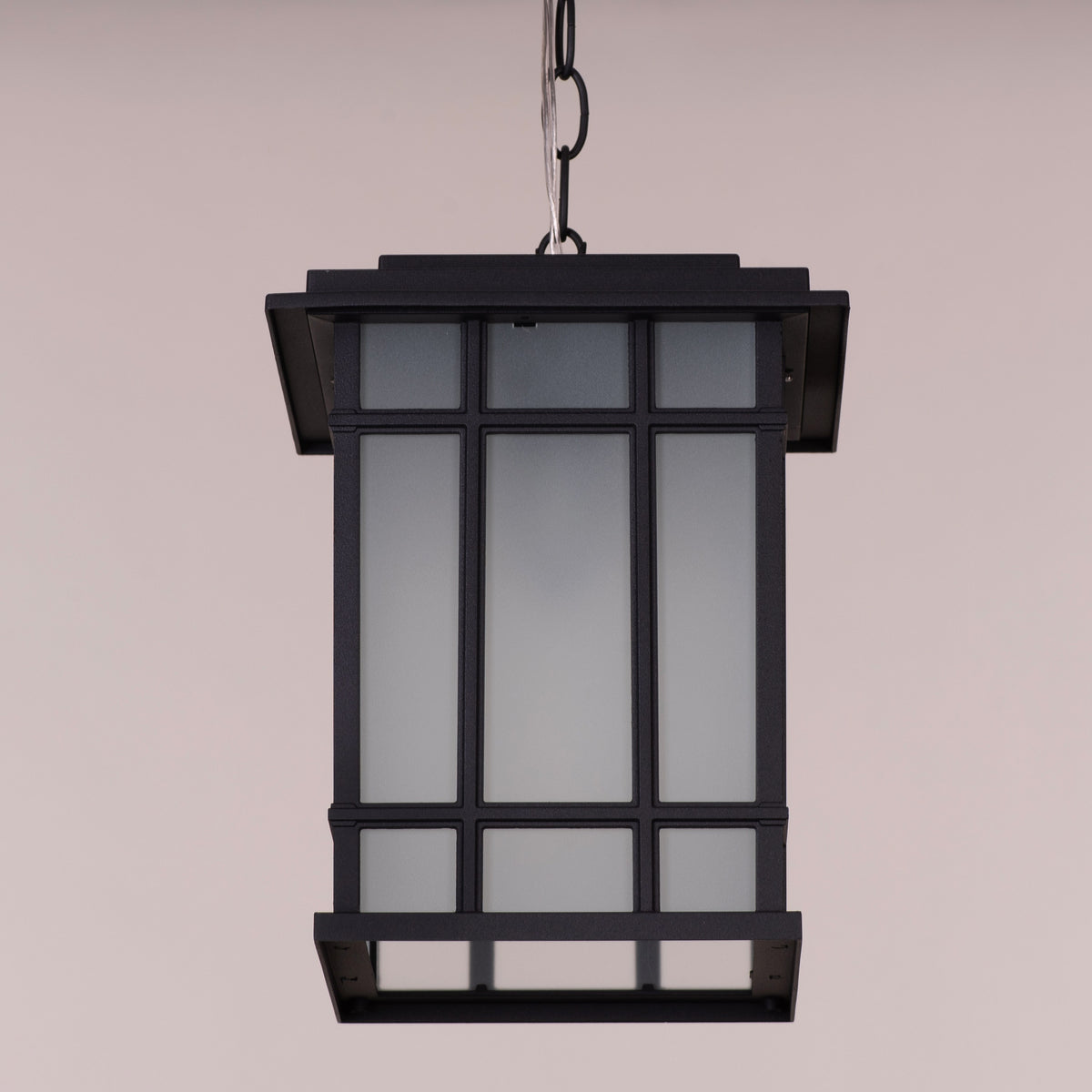 Looking Away (Black) Outdoor Pendant Light