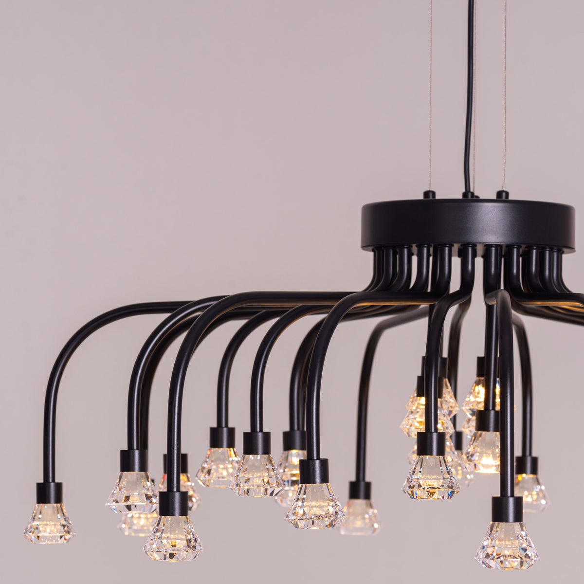 Queen Of Chaos (Black) Built-In LED Chandelier