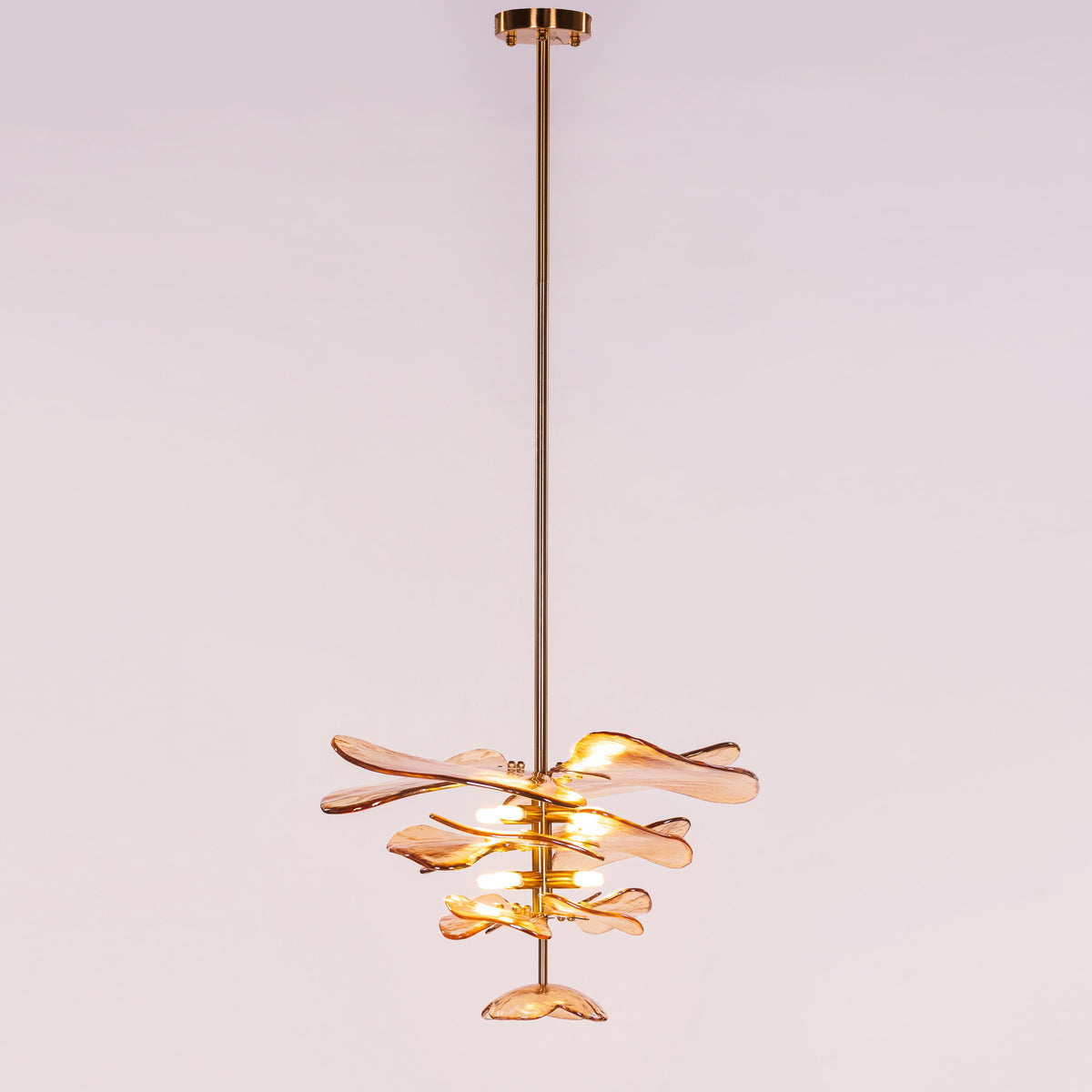 Luminous Lotus (Gold, Amber) Tinted Glass Pendant Light