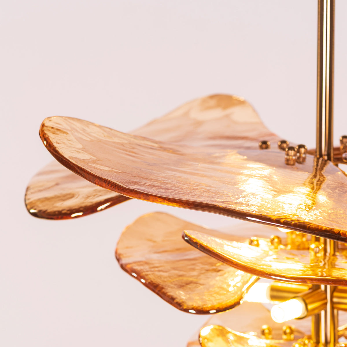 Luminous Lotus (Gold, Amber) Tinted Glass Pendant Light