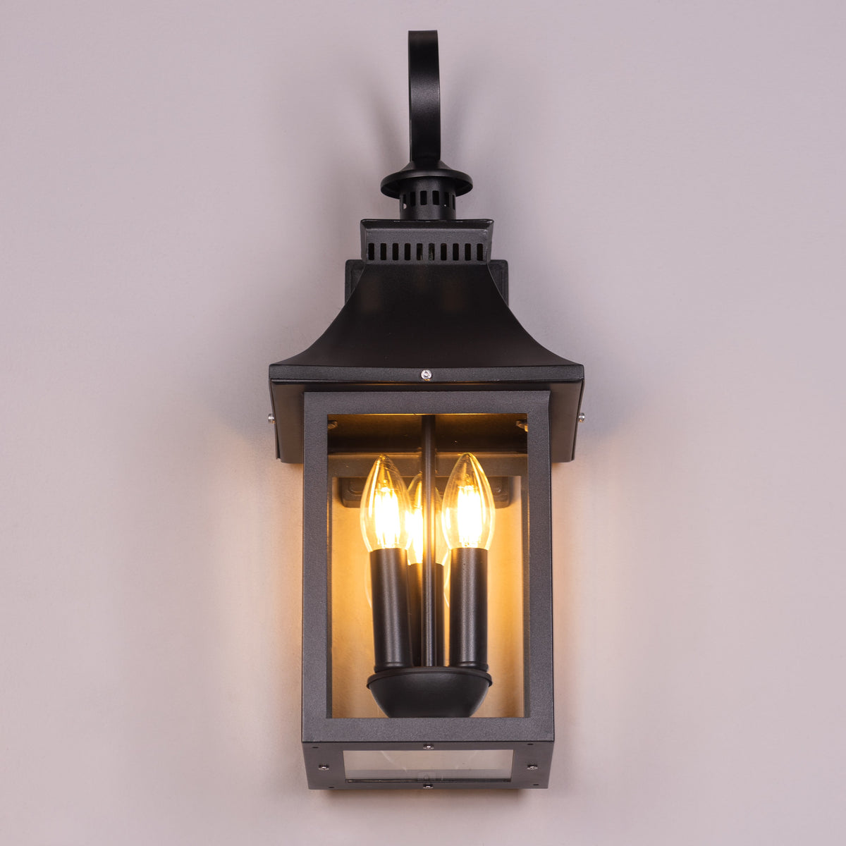 Good For You (Black) Clear Glass Outdoor Covered Wall Light