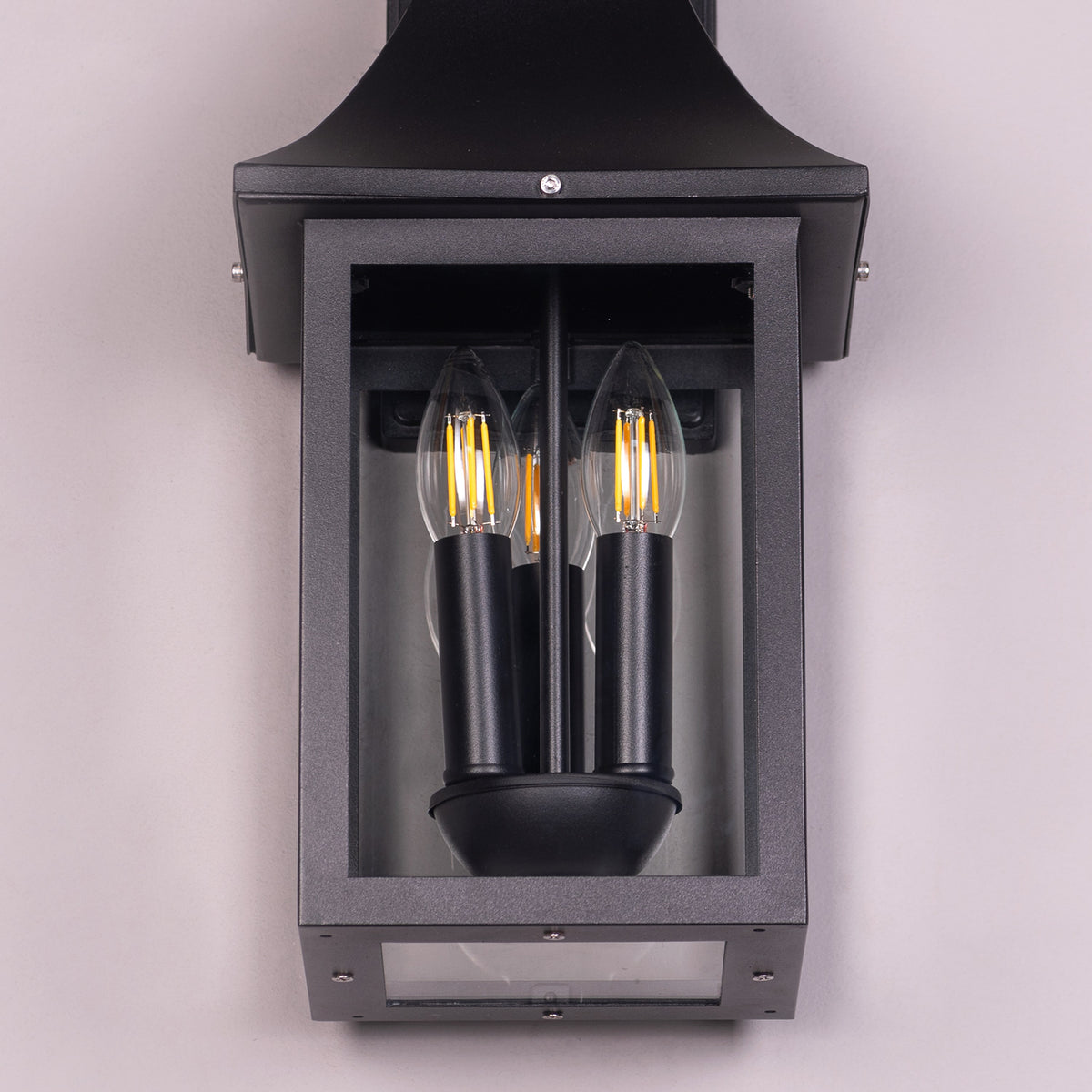 Good For You (Black) Clear Glass Outdoor Covered Wall Light