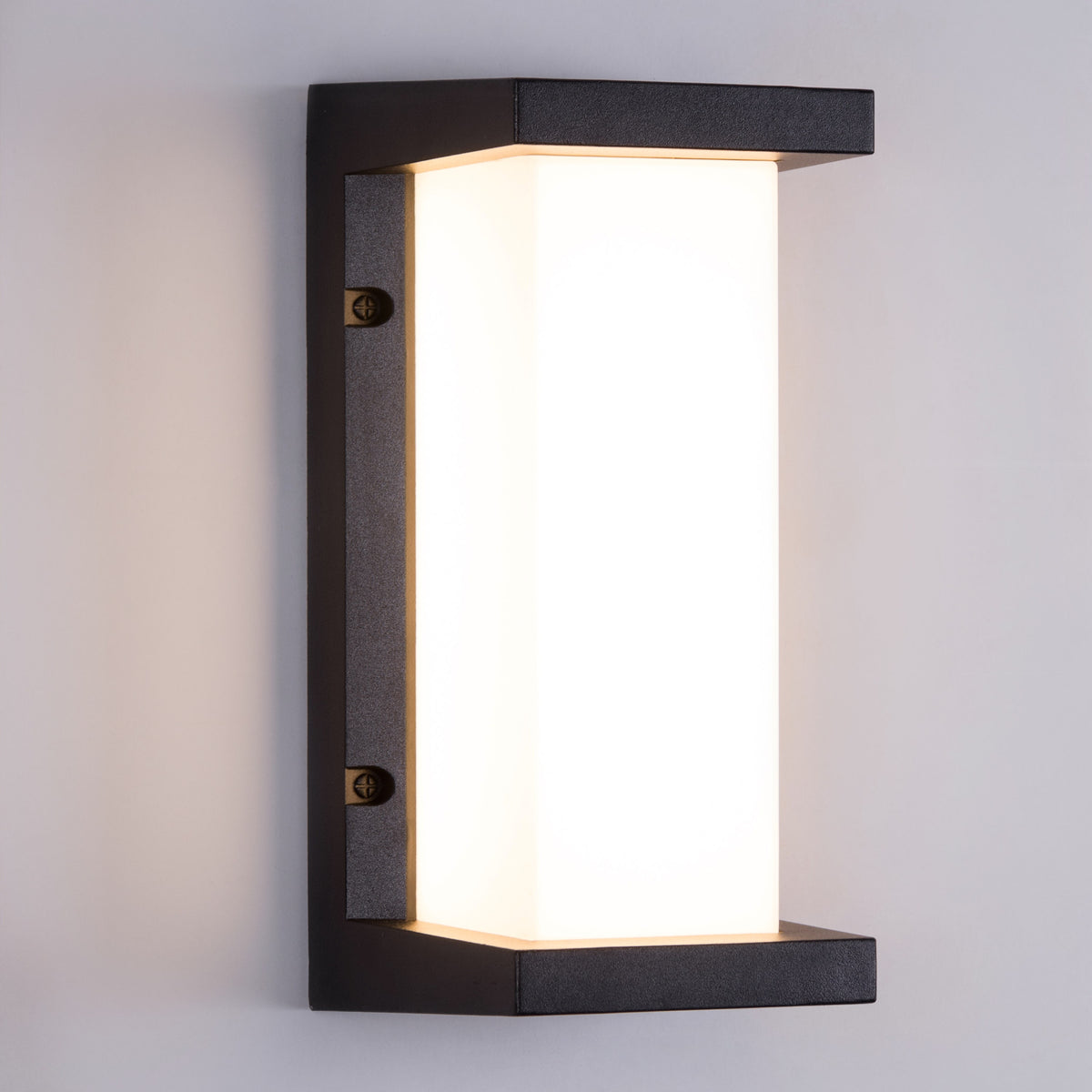 Come Alive (Big, Black, LED) Outdoor Wall Light