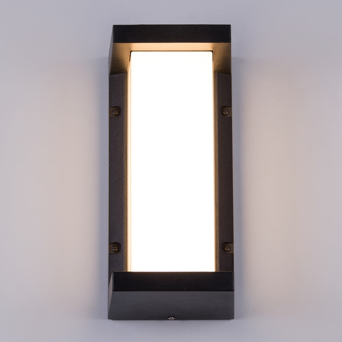 Come Alive (Big, Black, LED) Outdoor Wall Light