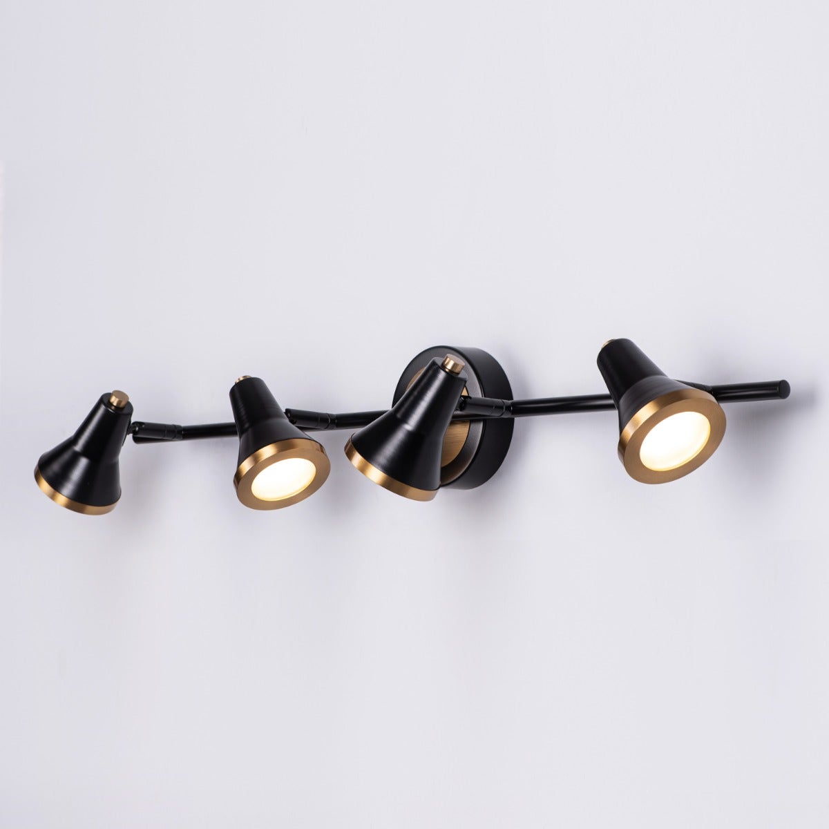 Beautiful Lives (Large, Black, Built-In LED) Picture Light