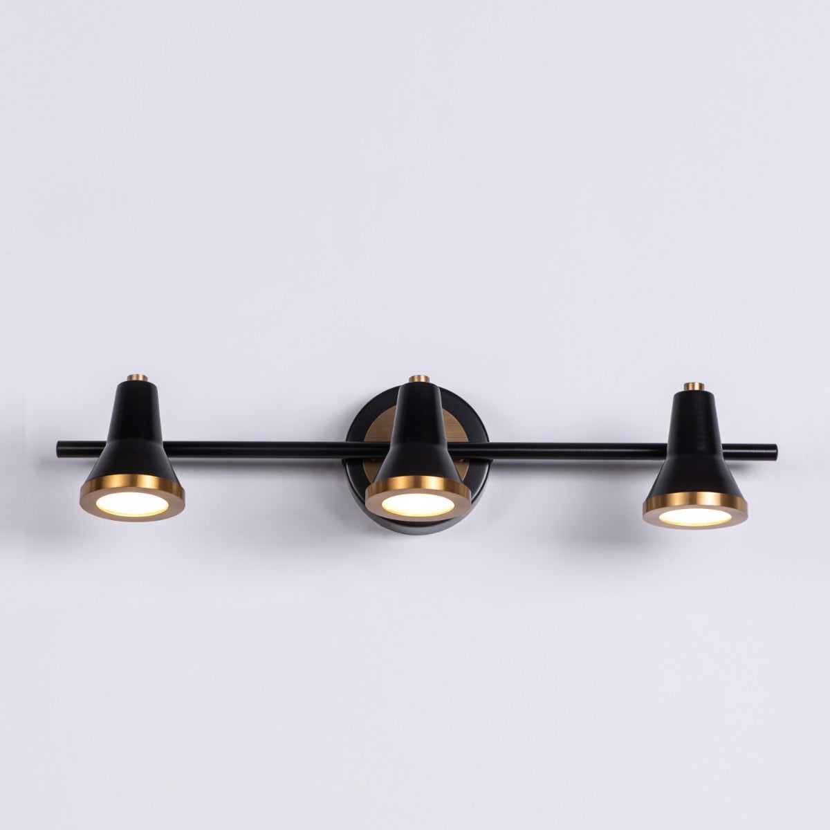 Beautiful Lives (Medium, Black, Built-In LED) Picture Light