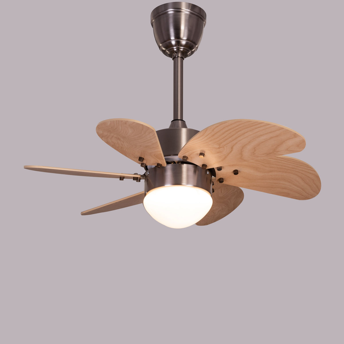 Casablanca (76 cm Span, Chrome Finish Metal Body, Maple Finish MDF Blades) Dimmable LED With Remote Control Ceiling Fan