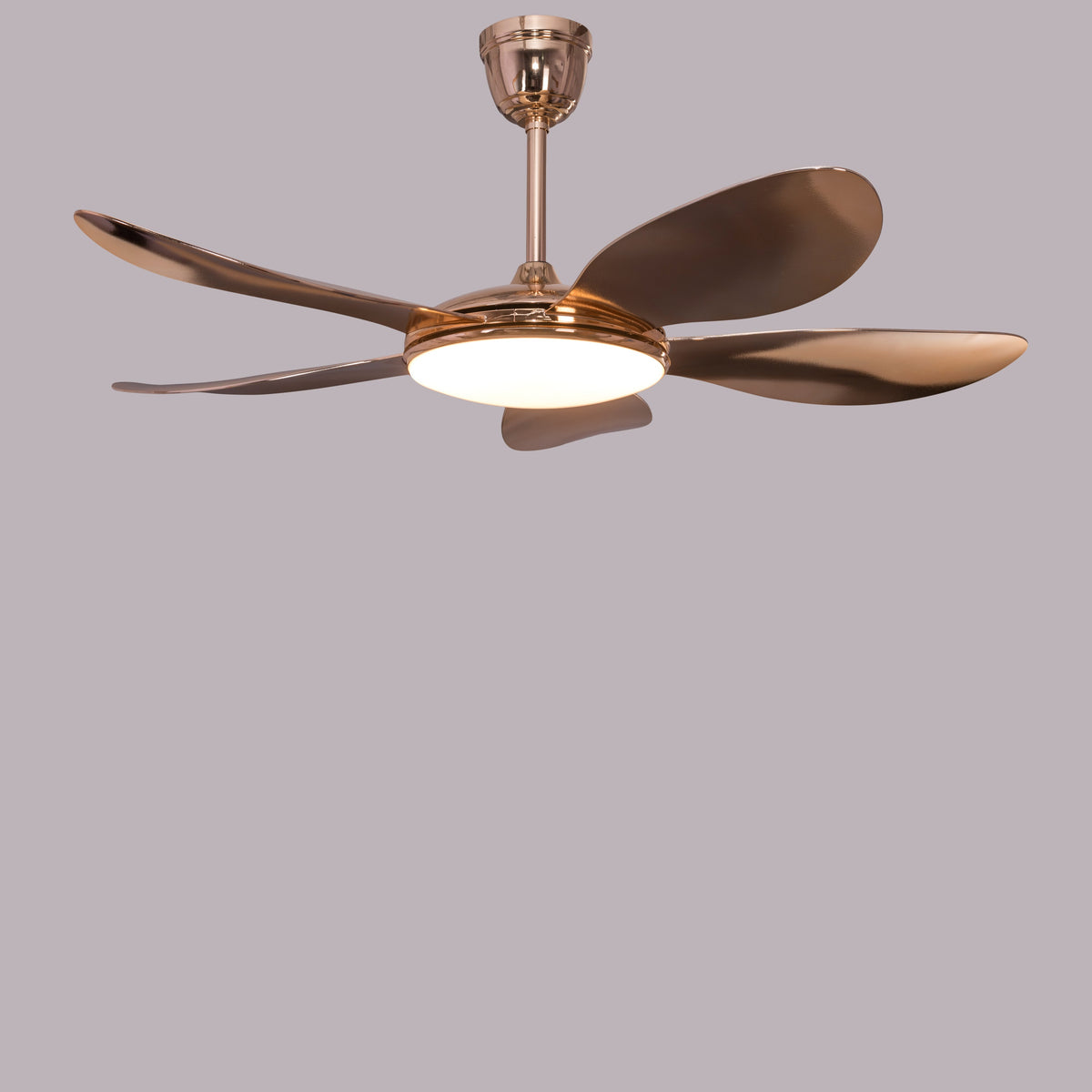 Thing For Bling (127 cm Span, Gold Plated Metal Body, Gold Plated ABS Blades) Dimmable LED With Remote Control Ceiling Fan