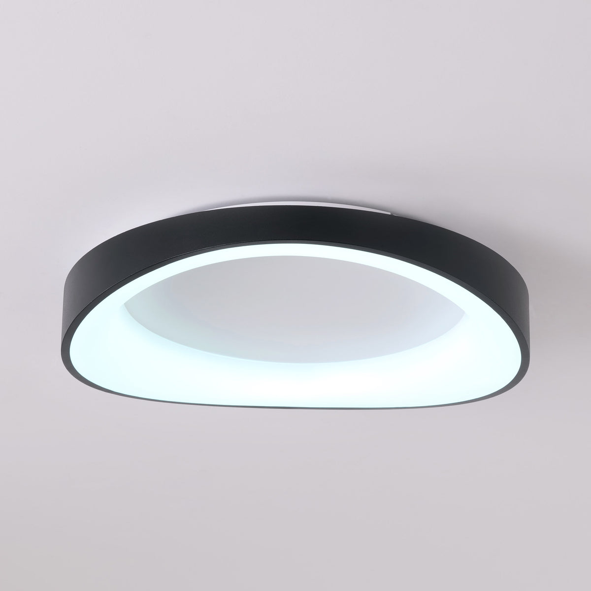 With Out A Doubt (Black) Ceiling Light