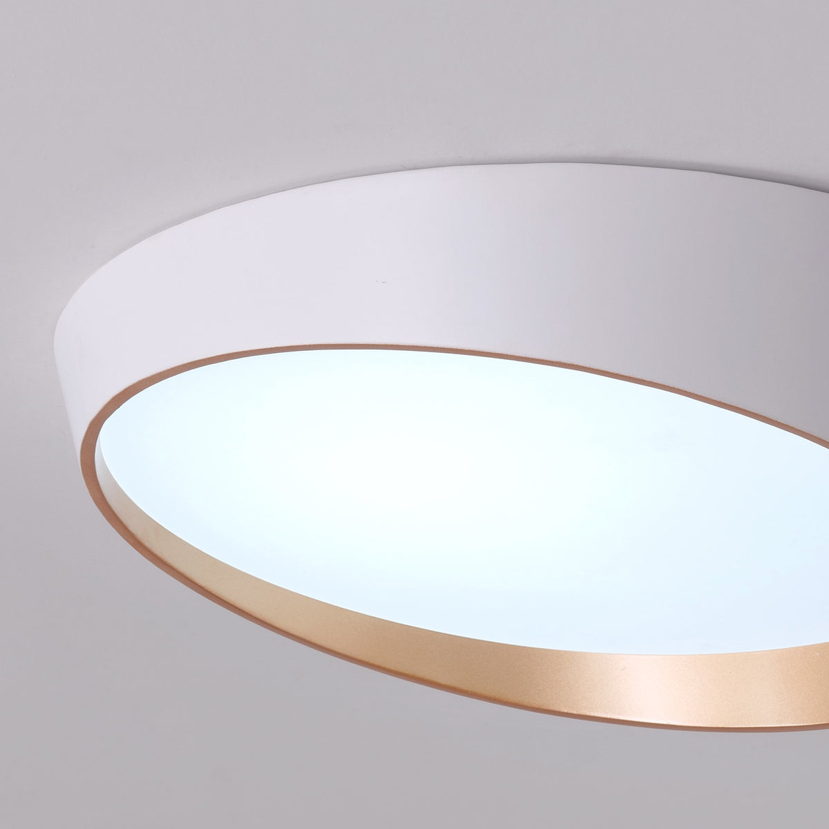 Hidden Ace (White,Large) Ceiling Light