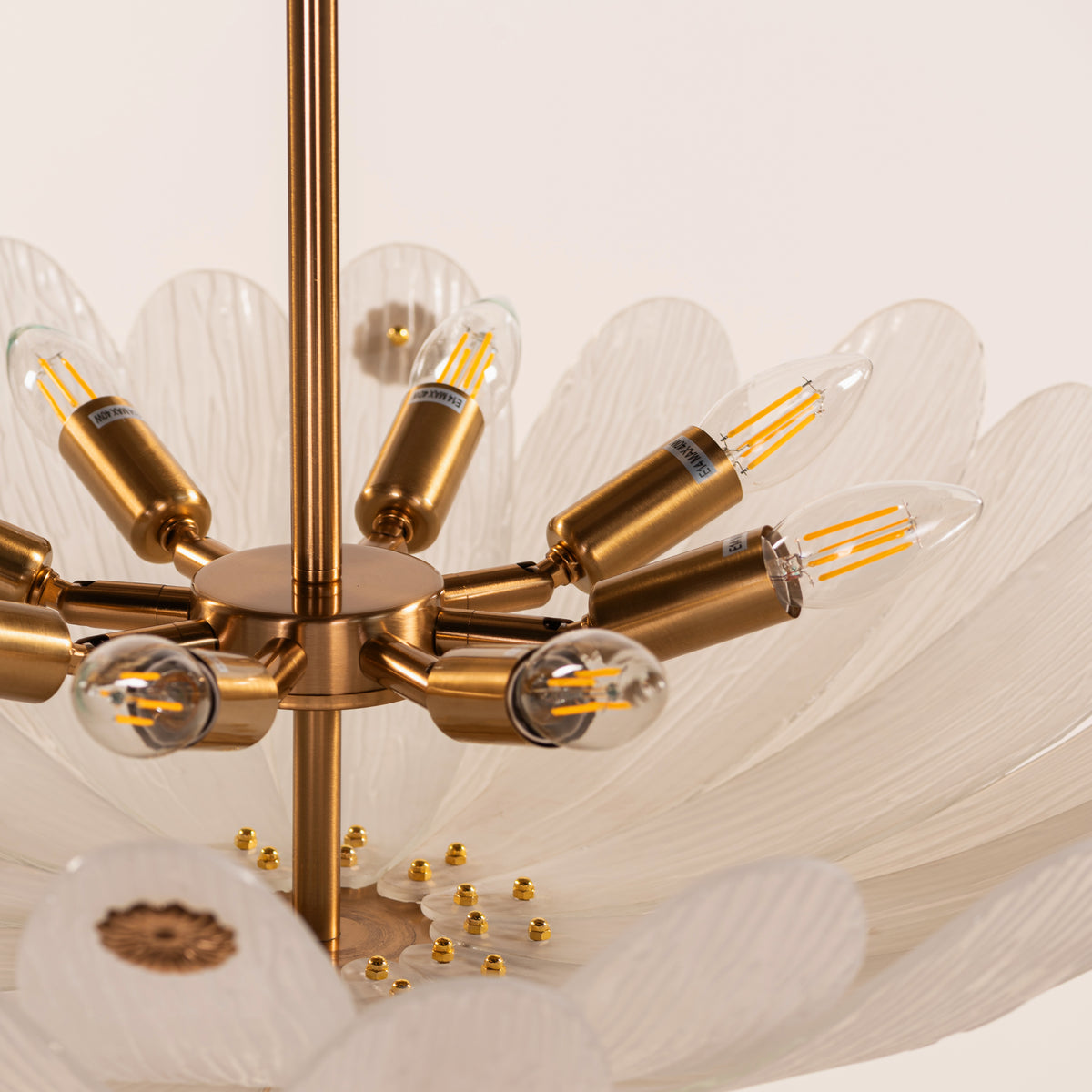 Althea (Gold, White) Frosted with Textured Glass Chandelier