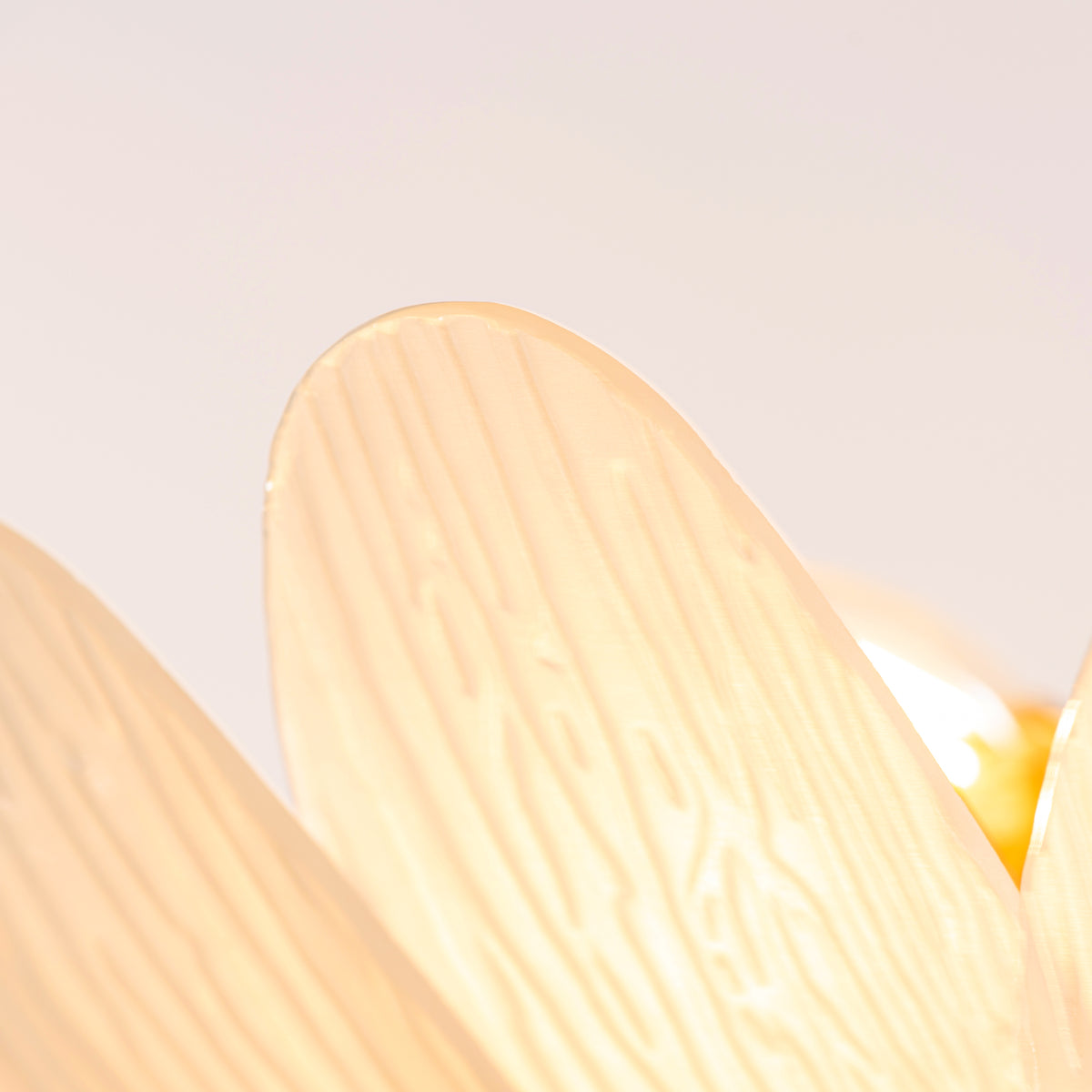 Althea (Gold, White) Frosted with Textured Glass Chandelier