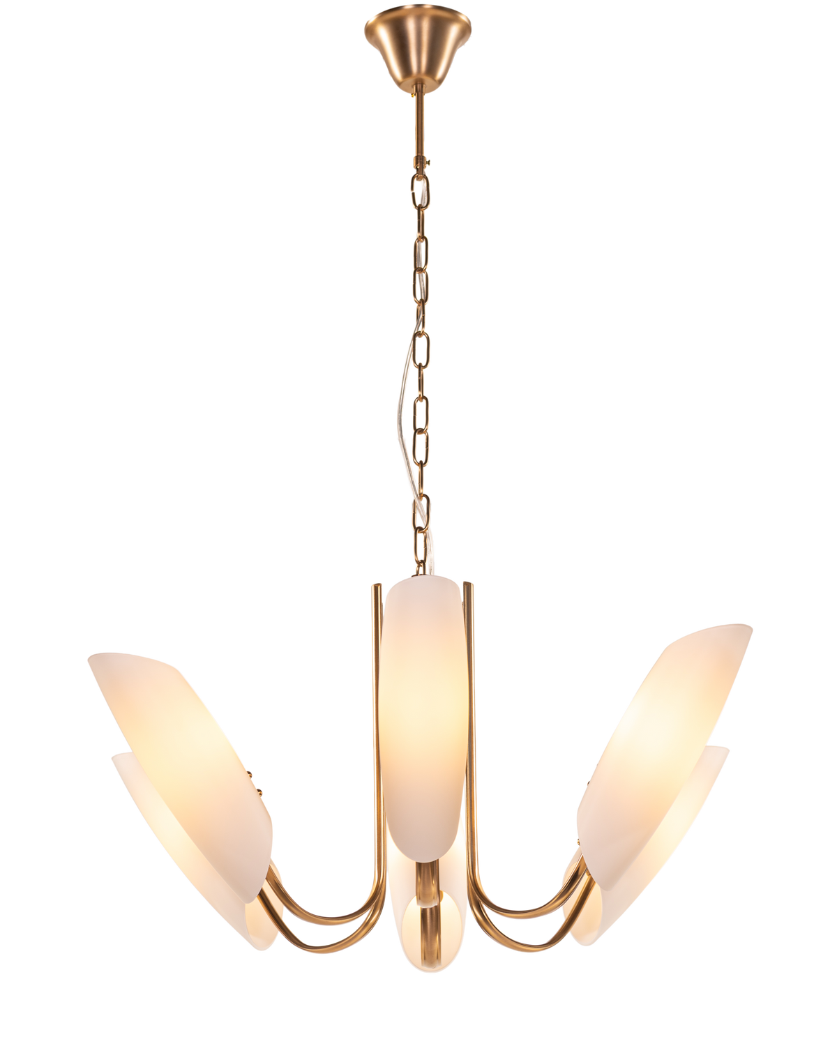 Silvana (Gold, White) Frosted Glass  Chandelier
