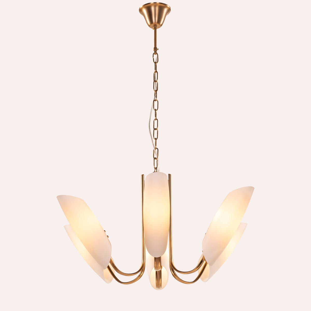 Silvana (Gold, White) Frosted Glass  Chandelier
