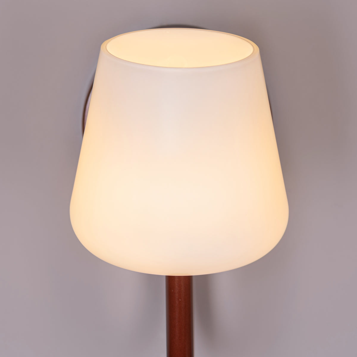 The Poet's Flame (Brown, White) Glass Wall Light