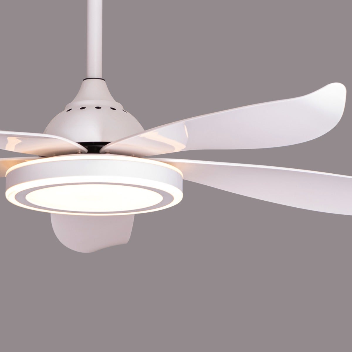 Oxford Street (140 cm Span, White Finish Metal Body, Glossy White ABS Blades) 3 Color Dimmable LED With Remote Control Ceiling Fan