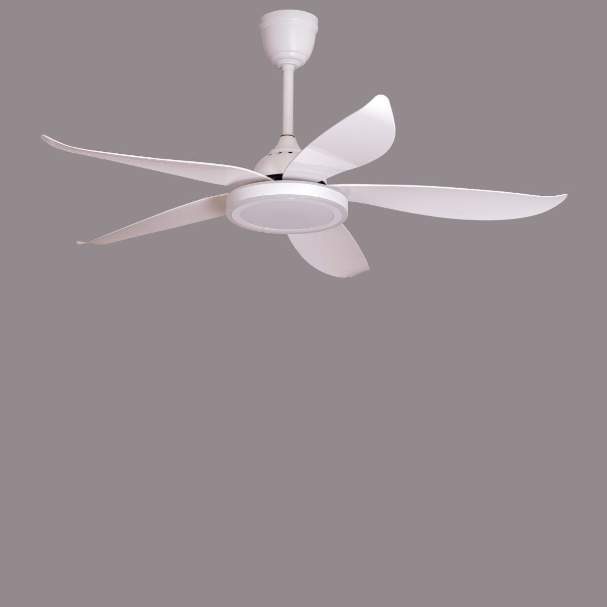Oxford Street (140 cm Span, White Finish Metal Body, Glossy White ABS Blades) 3 Color Dimmable LED With Remote Control Ceiling Fan