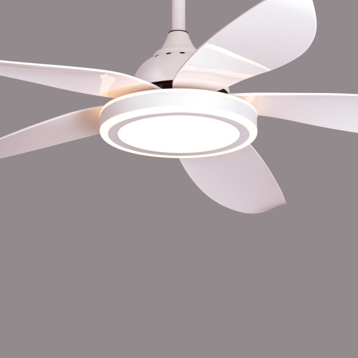 Oxford Street (140 cm Span, White Finish Metal Body, Glossy White ABS Blades) 3 Color Dimmable LED With Remote Control Ceiling Fan