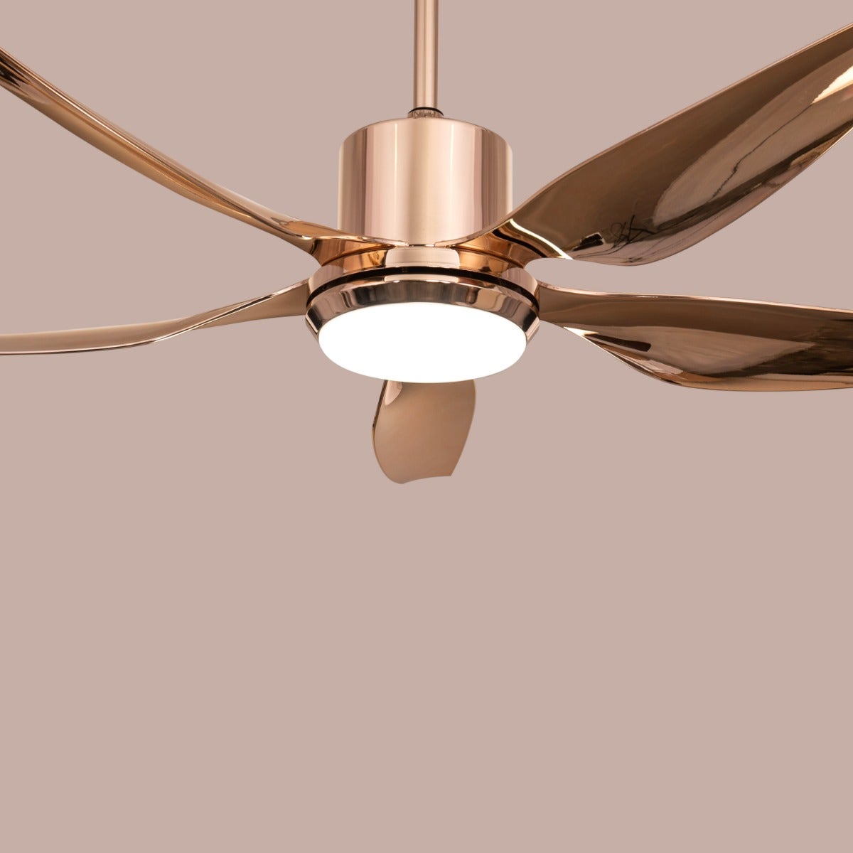 Revisited (137 cm Span, Gold Finish Metal Body, Gold Finish ABS Blades) Dimmable LED With Remote Control Ceiling Fan