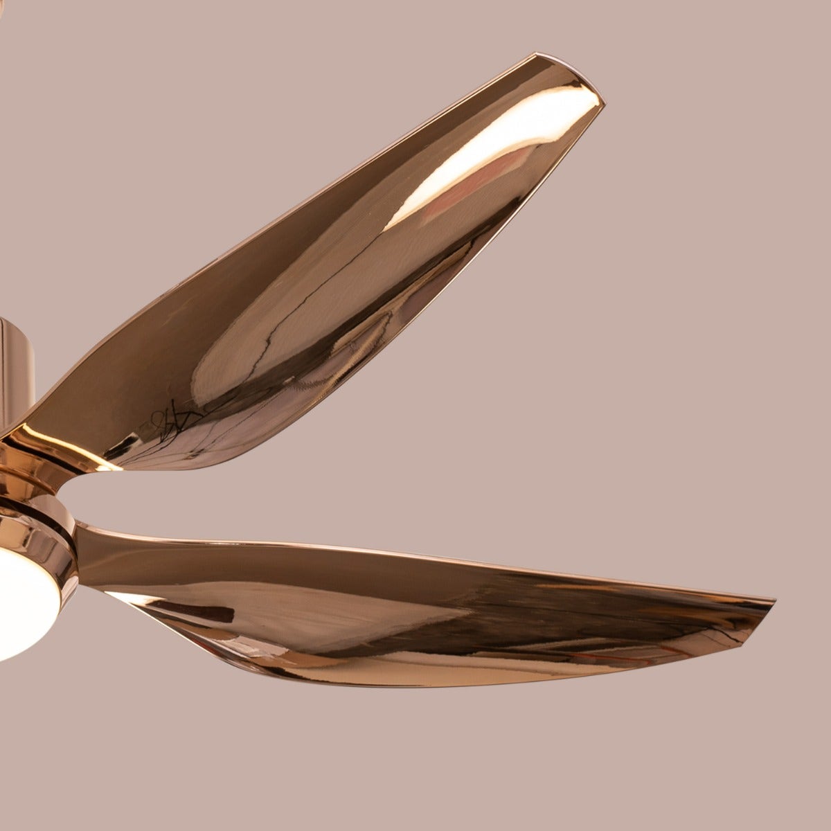 Revisited (137 cm Span, Gold Finish Metal Body, Gold Finish ABS Blades) Dimmable LED With Remote Control Ceiling Fan