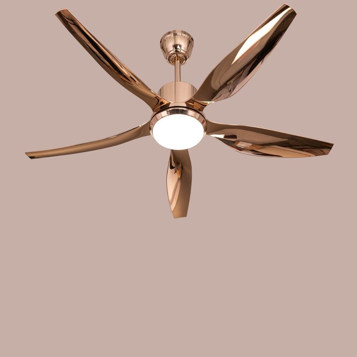 Revisited (137 cm Span, Gold Finish Metal Body, Gold Finish ABS Blades) Dimmable LED With Remote Control Ceiling Fan
