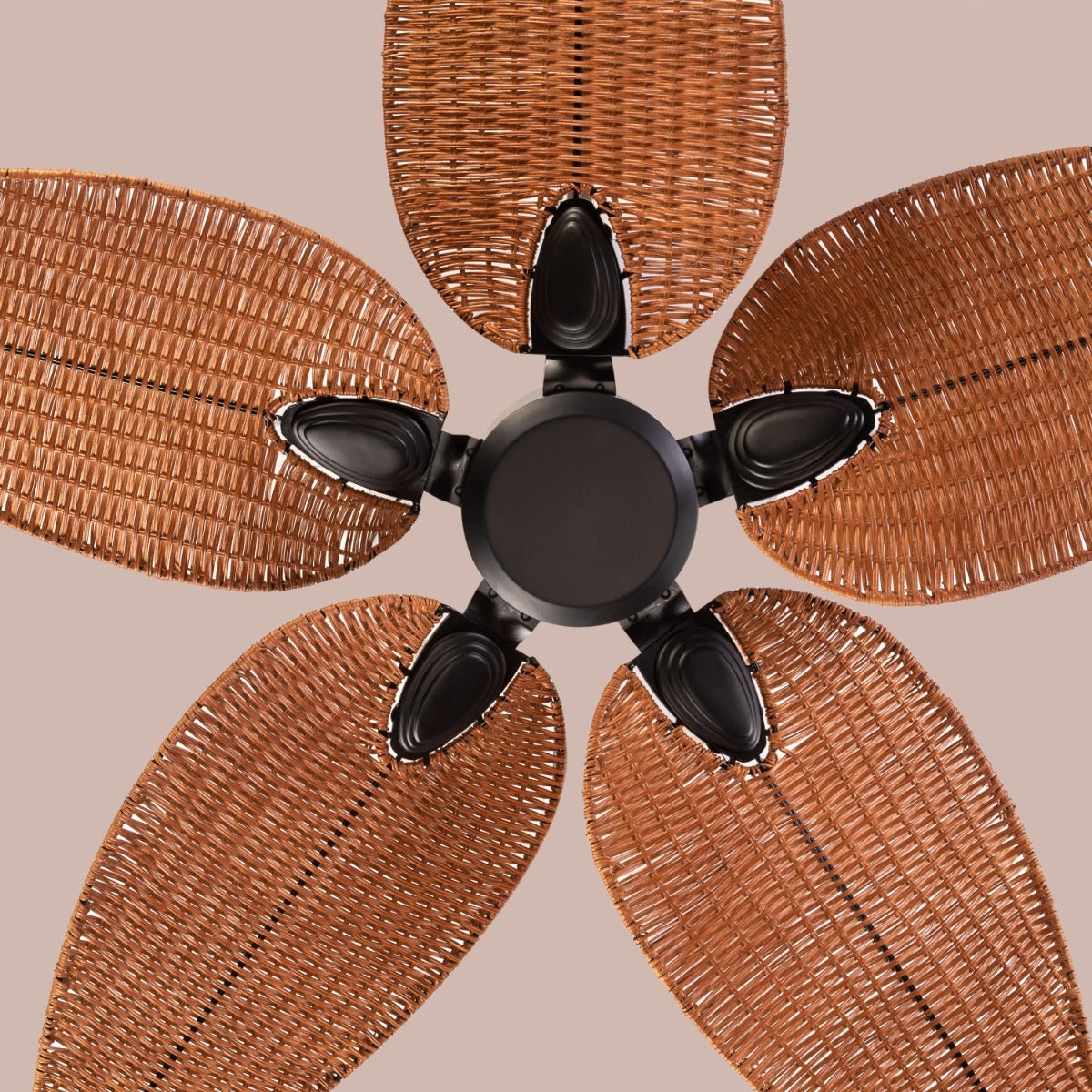 Florida Keys (132 cm Span, Black Finish Metal Body, Woven Cane On A Metal Frame) Ceiling Fan