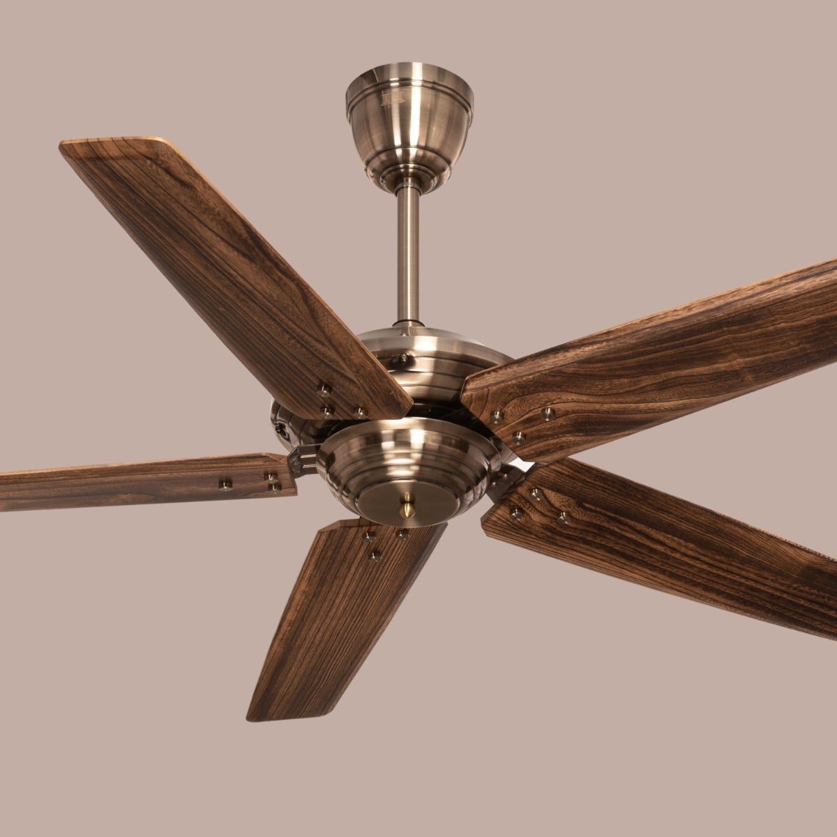 Alameda (137 cm Span, Chrome Finish Metal Body, Walnut Finish Solid Wood Blades) Ceiling Fan