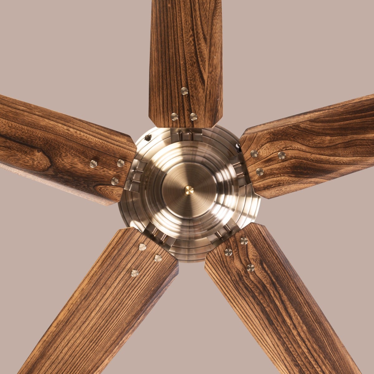 Alameda (137 cm Span, Chrome Finish Metal Body, Walnut Finish Solid Wood Blades) Ceiling Fan