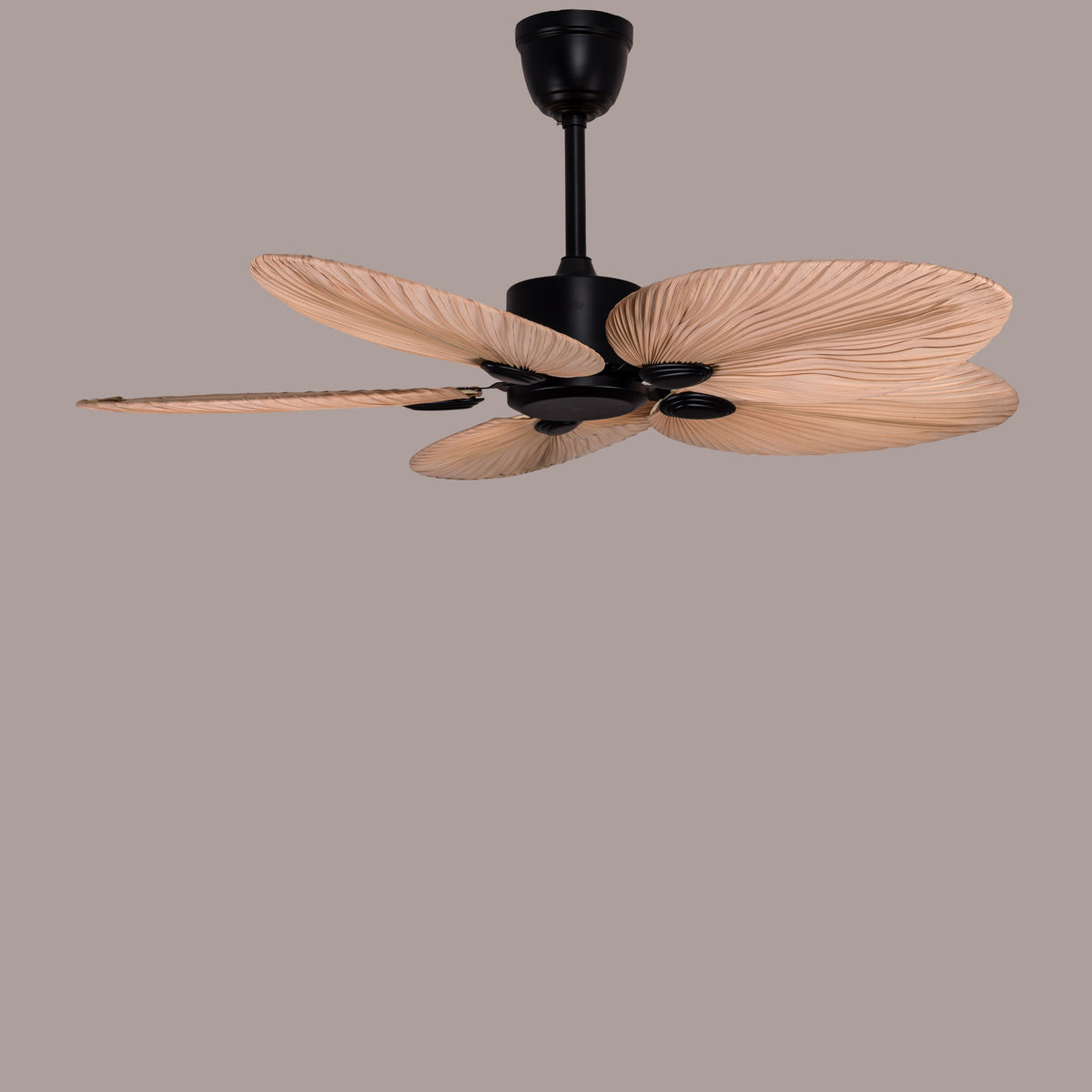 Palm Springs (122 cm Span, Black Metal Body, Rattan Wood Processed Dry Palm Tree Leaves) Ceiling Fan