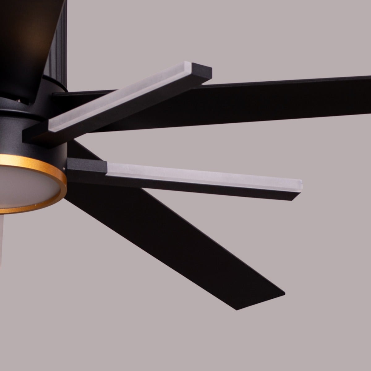 Serengeti (142 cm Span, Black & Gold Finish Metal Body, Black Finish Solid Wood Blades) Dimmable LED With Remote Control Ceiling Fan