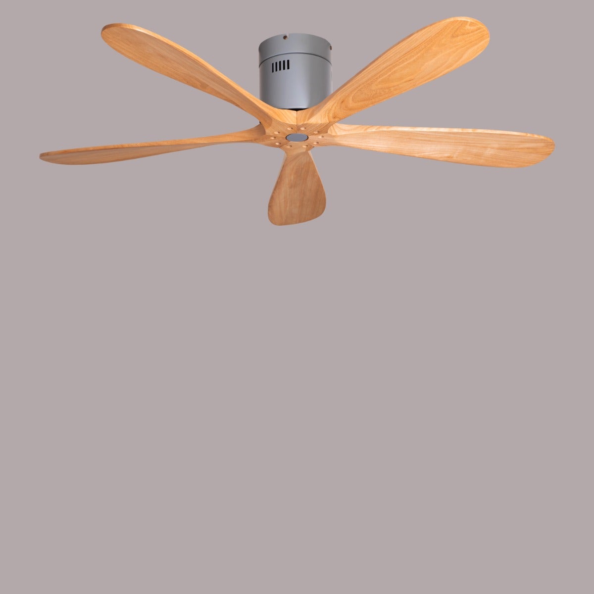 Carmel (132 cm Span, Grey Finish Metal Body, Maple Wood Finish Wooden Blades) Ceiling Fan