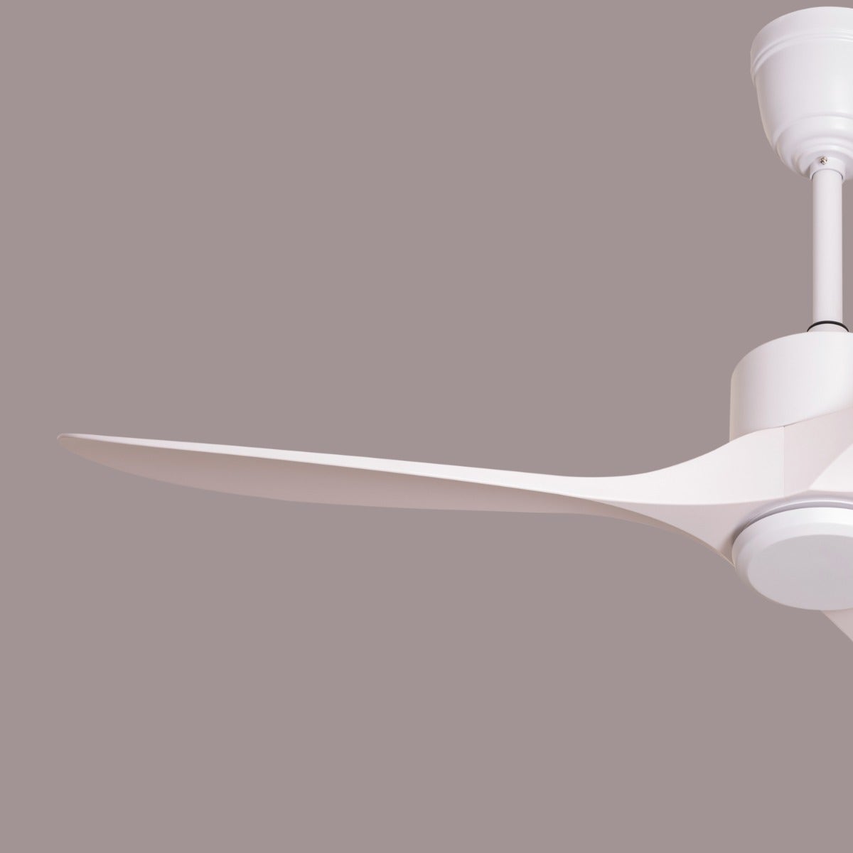 Tiburon (132 cm Span, White Finish Metal Body, White Finish ABS Blades) Ceiling Fan